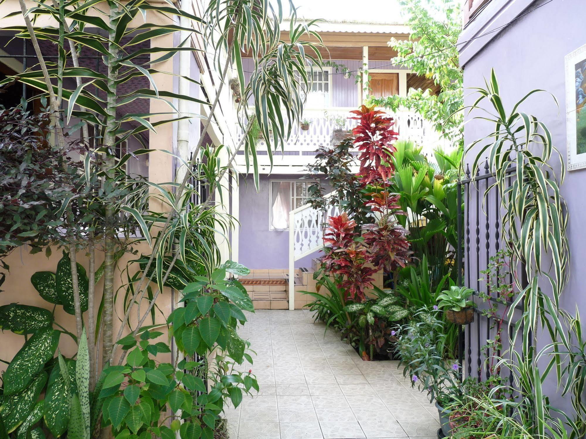 Bocas del Toro Hotel Posada Isla Chica מראה חיצוני תמונה